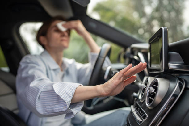 Best Affordable Air Conditioning Repair  in Cornell, WI
